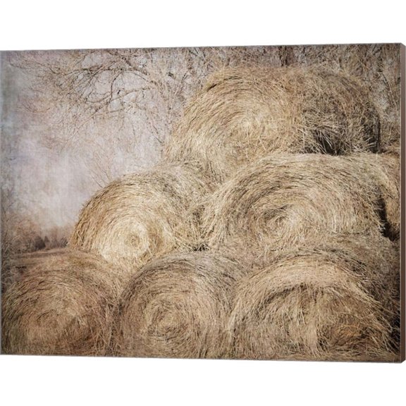Round Bales by Ramona Murdock, Canvas Wall Art, 20W x 16H