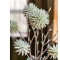thumbnail image 1 of Round Ball Flower on Twig Stem in Green, 1 of 7
