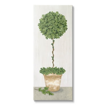 Round Botanical Potted Tree Botanical & Floral Graphic Art Gallery Wrapped Canvas Print Wall Art