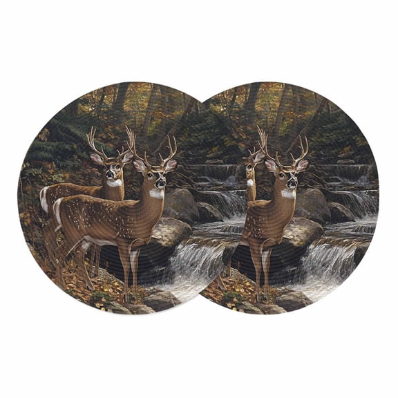 Round Braided Placemats Set of 2, Deer Animal Non-Slip Place Mats for Dining Table Woven Washable Table Mats 13 inch Forest Rock River Nature Scenery for Kitchen Decoration