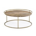 thumbnail image 1 of Round Faux Marble Top Coffee Table with Steel Frame, Brown and Gold- Saltoro Sherpi, 1 of 5