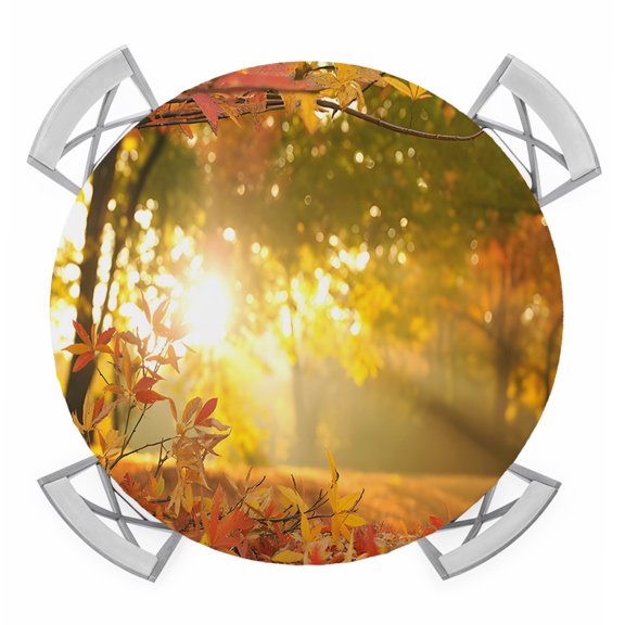 Round Fitted Tablecloth with Elastic Edge, Orange Autumn Leaves Waterproof Table Cloth Table Cover for 55"-60" Tables, Fall Trees Forest Country Rustic Tablecloths for Dining Picnic Party Outdoor