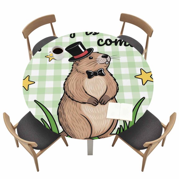 Round Fitted Tablecloth,Spring Is Coming Words Circle Table Cover Waterproof Table Cloth with Elastic Edge,Groundhog on Green Plaid Outdoor Tablecloths for Kitchen Picnic 36-44in