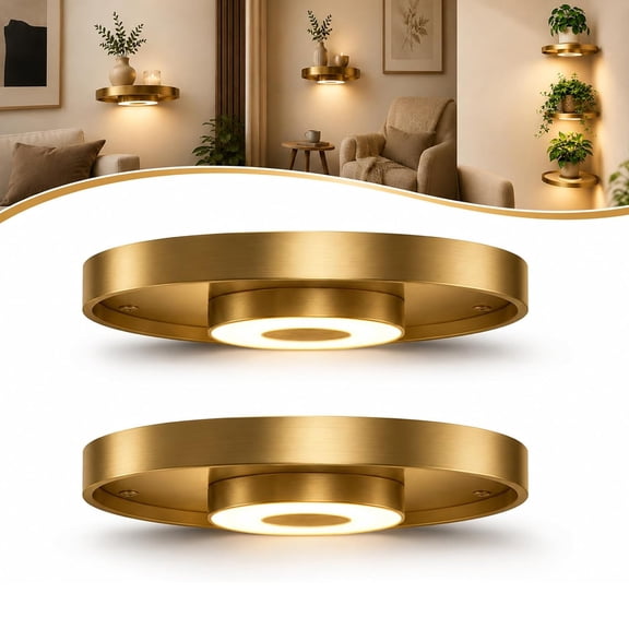 Round Floating Wall Shelf with Built-in Ambient LED Light,Hanging Display Rack Shelf with Invisible Brackets,Plant Display & Light Duo, for Home Decor, Bedroom,Living Room（2pc）