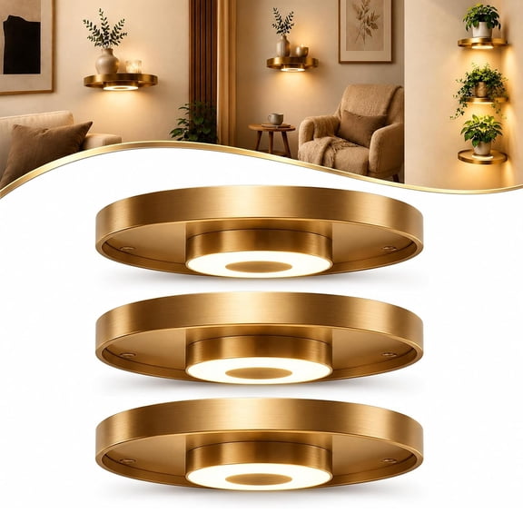 Round Floating Wall Shelf with Built-in Ambient LED Light,Hanging Display Rack Shelf with Invisible Brackets,Plant Display & Light Duo, for Home Decor, Bedroom,Living Room(3pc)