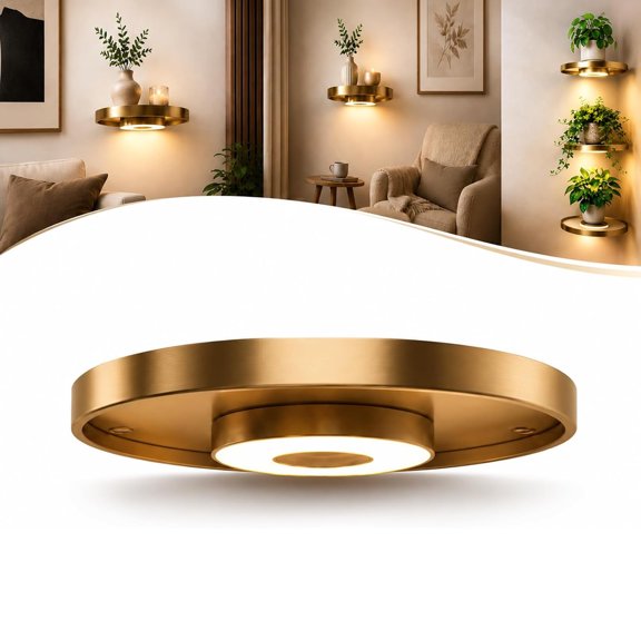 Round Floating Wall Shelf with Built-in Ambient LED Light,Hanging Display Rack Shelf with Invisible Brackets,Plant Display & Light Duo, for Home Decor, Bedroom,Living Room(1pc)