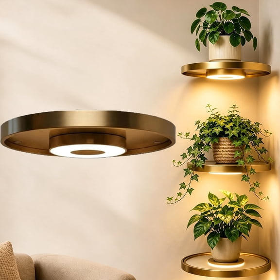 Round Floating Wall Shelf with Built-in Ambient LED Light, Space Saving Floating Shelves with Soft Warm Lights for Living Room Bedroom Entryway Plant Display