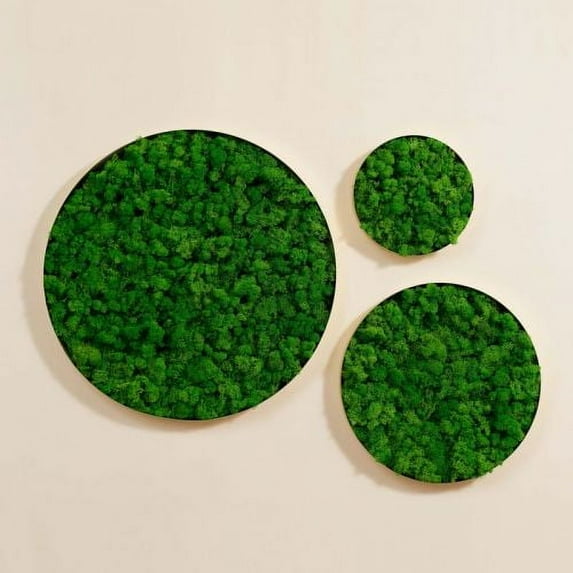Round Framed Moss Wall Decor Large