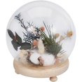 thumbnail image 1 of Round Glass Cloche Ball Jar Dome with Wooden Base Clear Glass Display Pedestals, 1 of 9