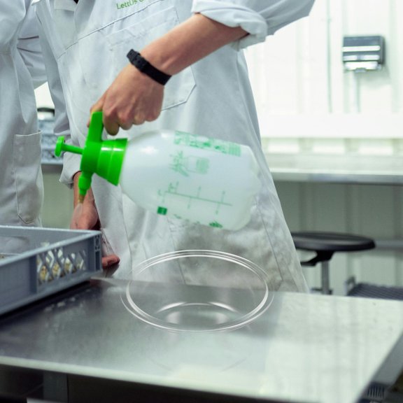 Round Glass Crystallizing Dish for Science Laboratory with Clear Visibility