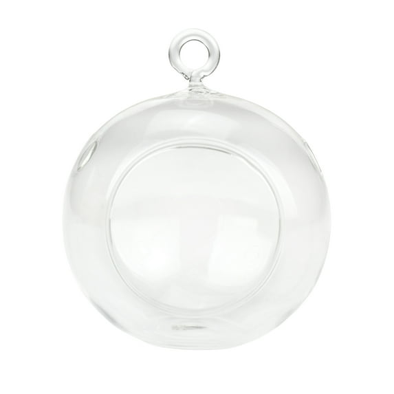 Round Glass Terrarium Air Plant Home Decor, 3-inch