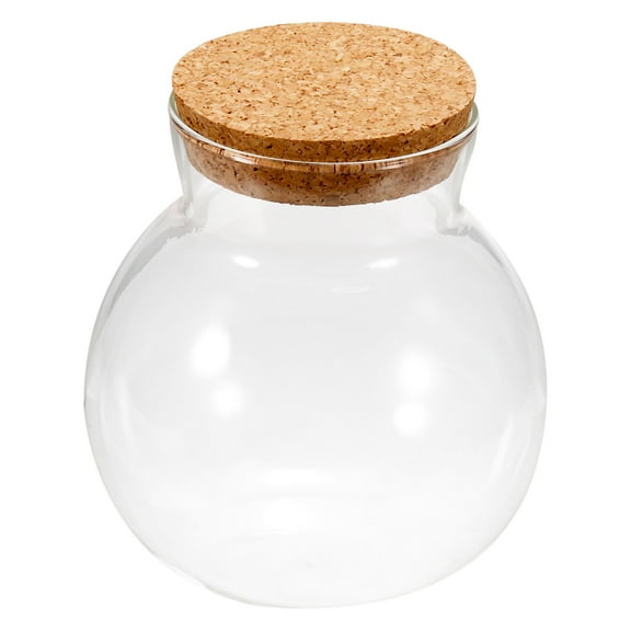 Round Globe Terrarium Air Plant Planter, 5 Inch High Borosilicate Glass Decorations with Cork Plug Clear