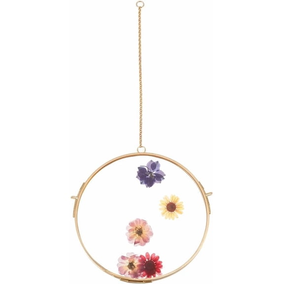 Round Hanging Glass Frame 5.9 Inch Wall Hanging Brass Floating Frame Double Glass Picture Frame with Chain DIY Artwork Display Frames for Pressed Flowers Pictures Home Wall Decorations