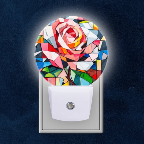 Round LED Night Lights Lamp with Dusk to Dawn Sensor, Beautiful Abstract Painting Of Color Block Rose Night Light Plug Into Wall for Kids Room, Bedroom, Bathroom, Kitchen, Hallway