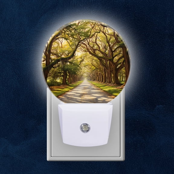Round LED Night Lights Lamp with Dusk to Dawn Sensor, Tree Lined Road In Lush Forest Night Light Plug Into Wall for Kids Room, Bedroom, Bathroom, Kitchen, Hallway