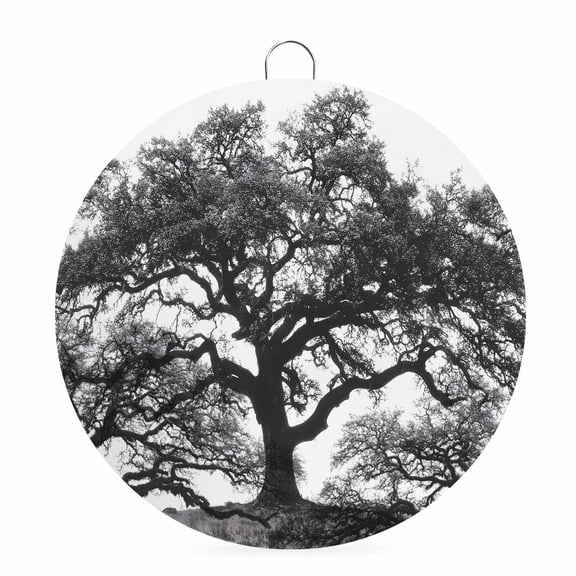 Round Metal Signs for Outside Oak Tree Forest Tin Signs Stainless Steel Hook Welcome Home Sign Plaque Black Deep Roots Branches Metal Sign for Front Door Porch Hanging Wall Decor Gifts 6 Inch