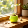 thumbnail image 1 of Round Mini Plastic Succulent Planter Pot, Colorful Small Desktop Flower Container, Lightweight Nursery Plant Pot For Cactus, Herb, Bonsai, Ideal For Home, Office, Balcony And Indoor Desktop Decor, 1 of 6