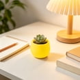thumbnail image 1 of Round Mini Plastic Succulent Planter Pot, Colorful Small Desktop Flower Container, Lightweight Nursery Plant Pot For Cactus, Herb, Bonsai, Ideal For Home, Office, Balcony And Indoor Desktop Decor, 1 of 6