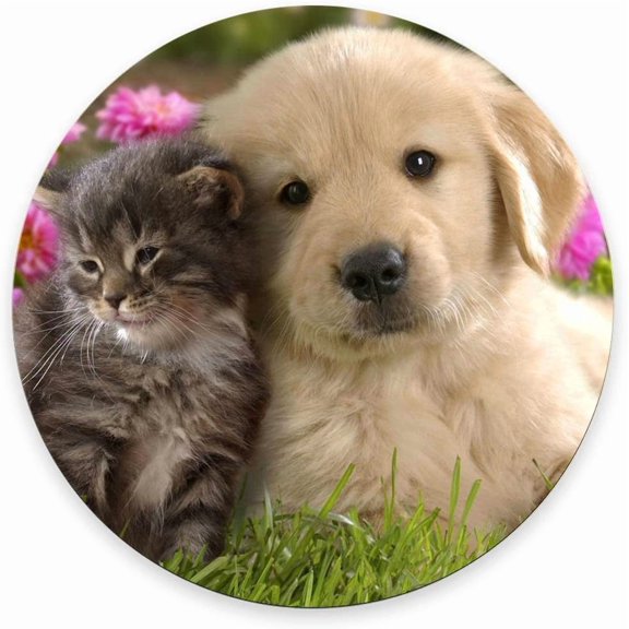 Round Mouse Pad , Personalized Premium-Textured Custom Mouse Mat Design, Washable Mousepad Cloth, Non-Slip Rubber Base Computer Mouse Pads for Wireless Mouse