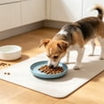 thumbnail image 1 of Round Pet Food Plate Snack Dish for Cats Dogs, Shallow Wide Cat Feeding Bowl, Easy Clean Plastic Pet Dish for Dry Wet Food Treats, Stackable Feeding Bowl for Small Medium Pets Kittens, 1 of 6