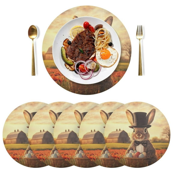 Round Placemats Plate Mats 15 Inch Non-Slip Heat Resistant Washable PVC Set Table Decoration for Kitchen Dining An Easter Bunny