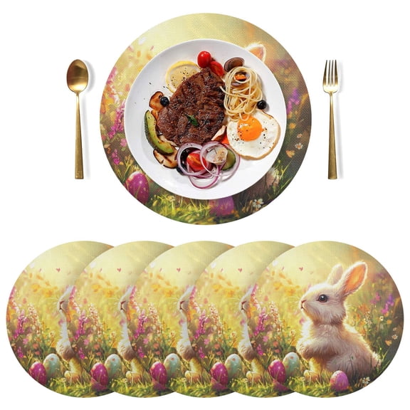 Round Placemats Plate Mats 15 Inch Non-Slip Heat Resistant Washable PVC Set Table Decoration for Kitchen Dining Fluffy Bunny