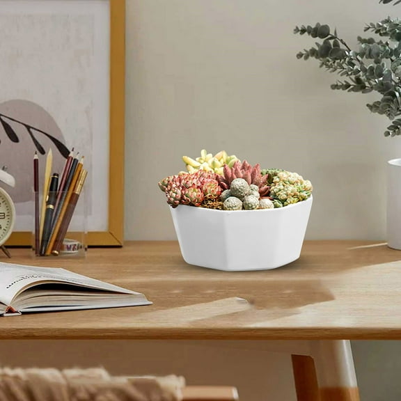 Round Flower Pots with Drainage,Shallow Garden Planters for Succulents,Herbs,Cactus,Indoor Houseplants,Modern Lightweight Outdoor Containers,Durable Decor Planters(5.91inch,White)