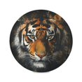 thumbnail image 1 of Round Plate Mat 15.4x15.4 Inchesx1 Placemat Table Mat Kitchen Mat Coffee Mat Fabric Thick, Strong Wear-Resistant, Heat Resistance Yellow Pretty Tiger Pattern, 1 of 7