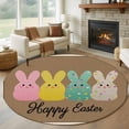 thumbnail image 1 of Round Rug 6Ft Washable Non-Slip, Easter Circle Area Rugs for Living Room Bedroom, Colorful Bunny Spring Cartoon Cute Rabbits Brown Indoor Floor Mats Carpet Runner for Home Decor Aesthetic, 1 of 8