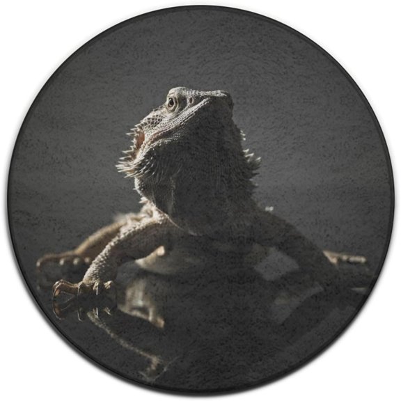 Round Rug Washable Circle Carpet, abstract swirl pattern floor mat for living room, bedroom or office, soft non-slip low-pile area décor, modern minimalist home accent