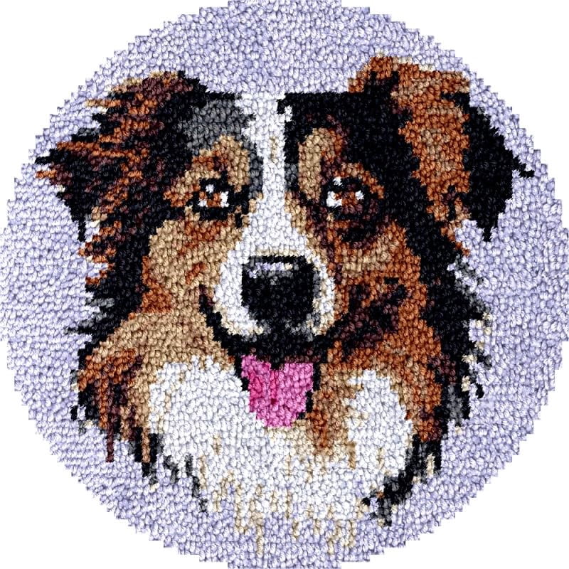 Round Shape Latch Hook Rug Kits Set Bernes Mountain Dog for Starter Crochet Hook Cushion Mat Sofa Seat Cushion Crocheting Kits with Preprinted Canvas Crochet Yarn Kits 50X50CM (fi92)