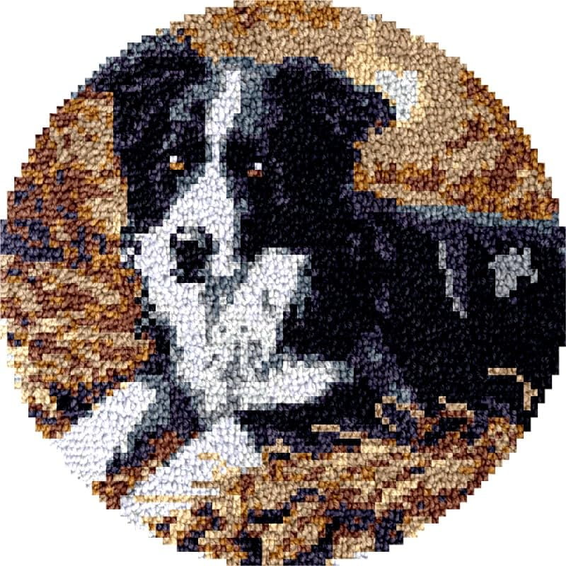 Round Shape Latch Hook Rug Kits Set Bernes Mountain Dog for Starter Crochet Hook Cushion Mat Sofa Seat Cushion Crocheting Kits with Preprinted Canvas Crochet Yarn Kits 50X50CM (fi64)
