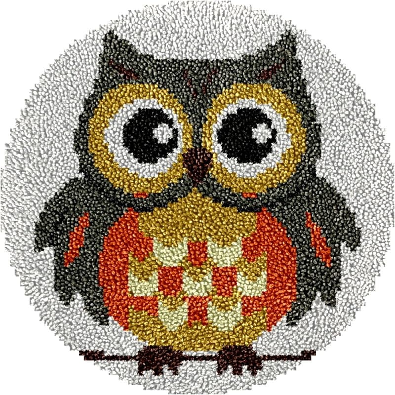 Round Shape Latch Hook Rug Kits Set Cartoon Owl Bird for Starter Crochet Hook Cushion Mat Sofa Seat Cushion Crocheting Kits with Preprinted Canvas Crochet Yarn Kits 50X50CM (fi129)