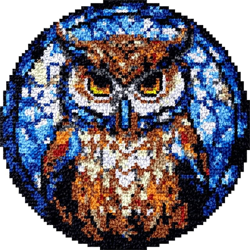 Round Shape Latch Hook Rug Kits Set Owl Bird for Starter Crochet Hook Cushion Mat Sofa Seat Cushion Crocheting Kits with Preprinted Canvas Crochet Yarn Kits 50X50CM (fi66)