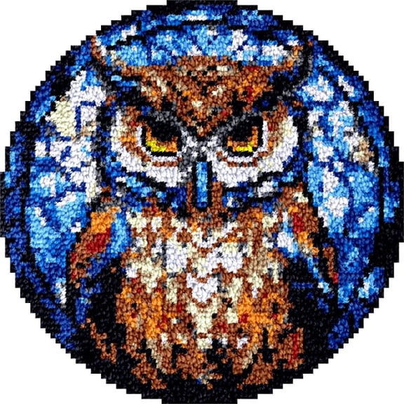Round Shape Latch Hook Rug Kits Set Owl Bird for Starter Crochet Hook Cushion Mat Sofa Seat Cushion Crocheting Kits with Preprinted Canvas Crochet Yarn Kits 50X50CM (fi66)