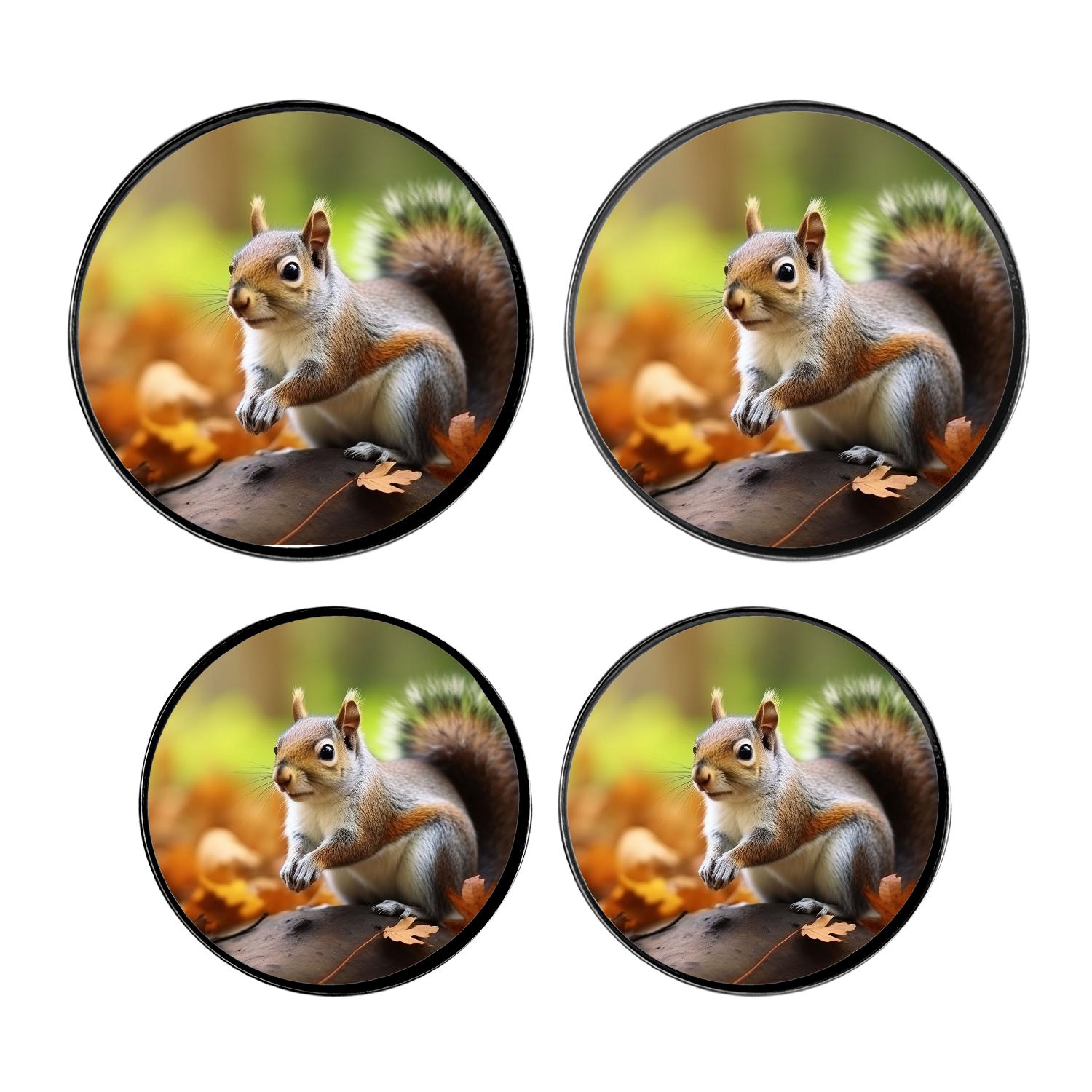 Round Stove Burner Covers 4 Pcs,Autumn Squirrel Forest Leaves Landscape Nature Lovely Round Electric Stove Burner Covers 8Inch And 10Inch