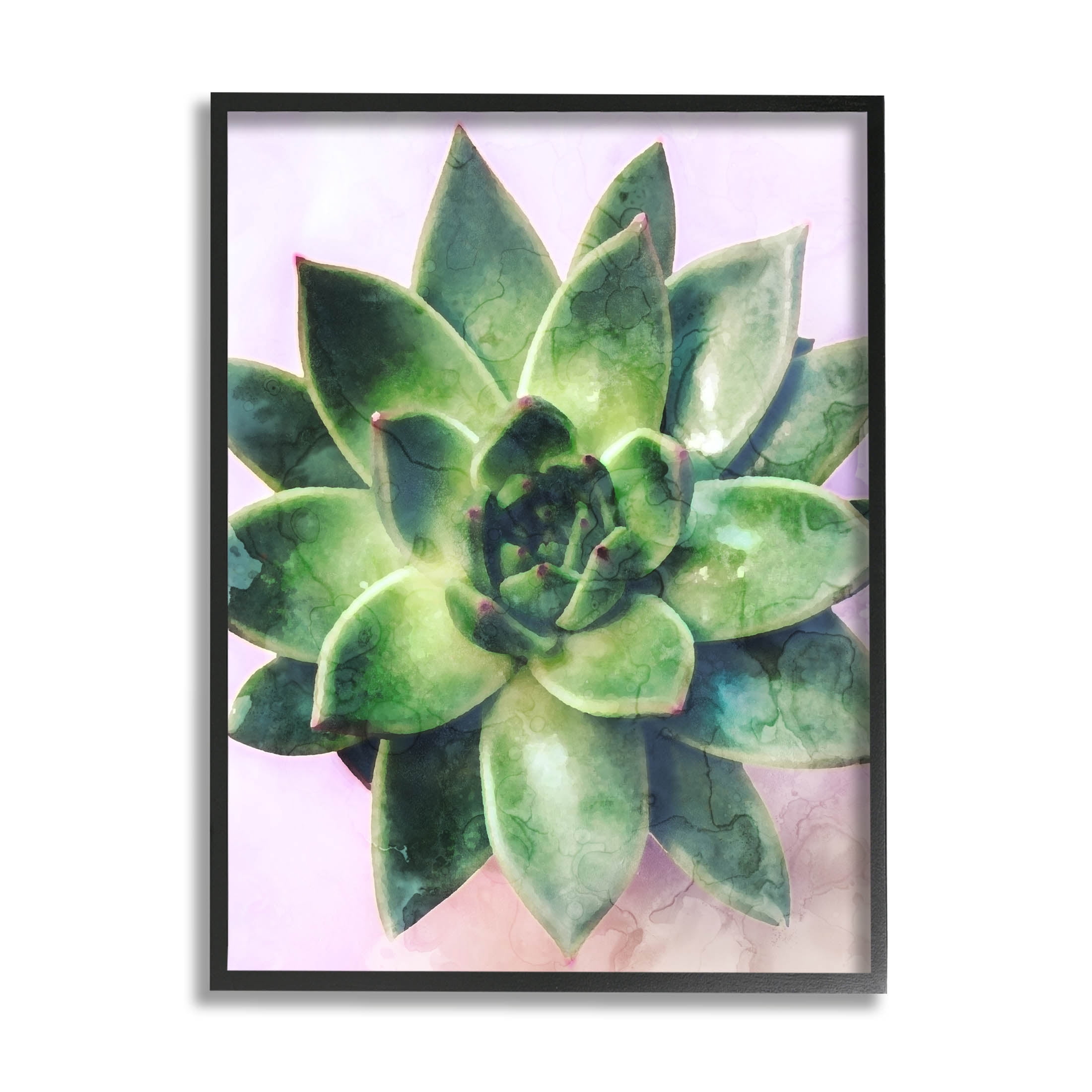 Round Succulent Plant Leaves Botanical & Floral Graphic Art Black Framed Art Print Wall Art