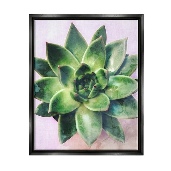 Round Succulent Plant Leaves Botanical & Floral Graphic Art Jet Black Framed Art Print Wall Art