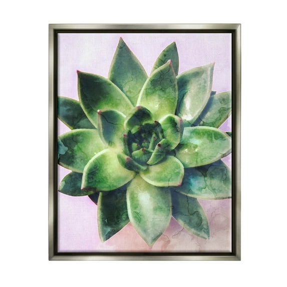 Round Succulent Plant Leaves Botanical & Floral Graphic Art Luster Gray Framed Art Print Wall Art