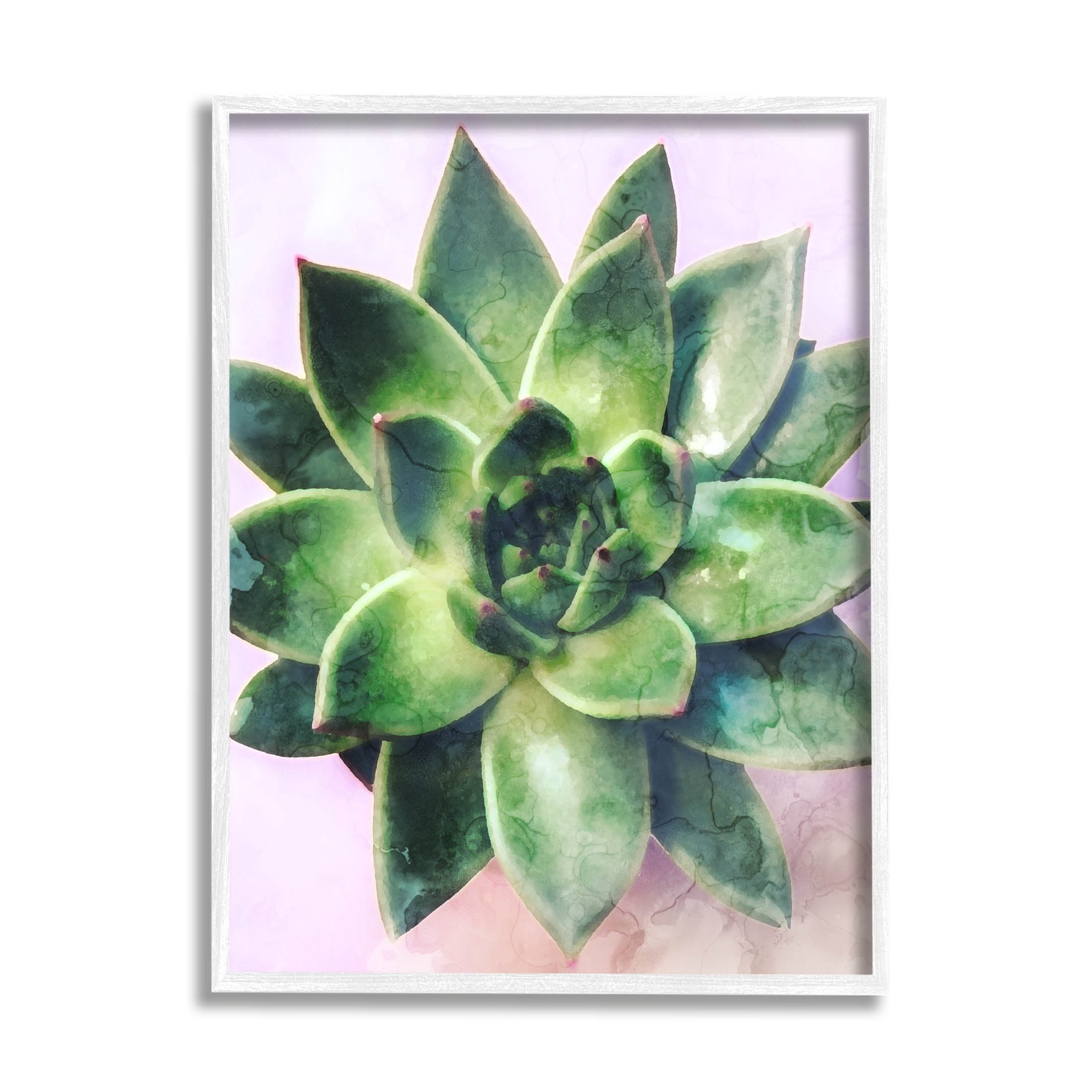 Round Succulent Plant Leaves Botanical & Floral Graphic Art White Framed Art Print Wall Art