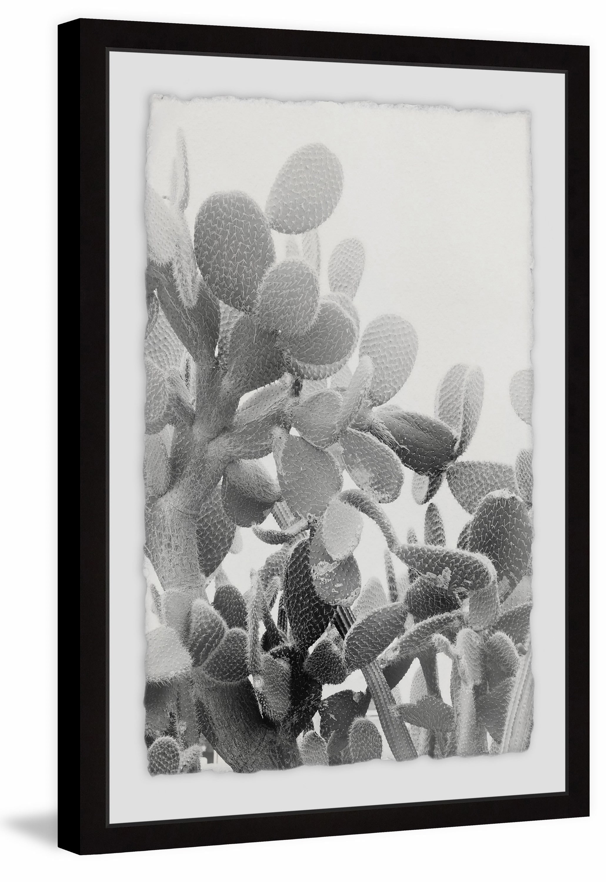Round Succulent Stems Framed Painting Art Print, 30.00" x 1.50"