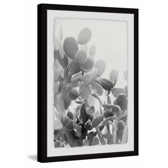 Round Succulent Stems Framed Painting Print