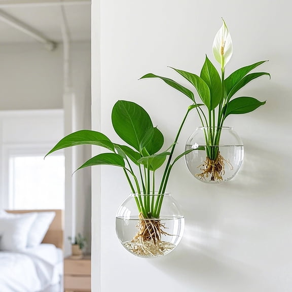 Round Wall Hanging Planter Propagation Station Glass Flower Vase for Hydroponics Plants 2 Count