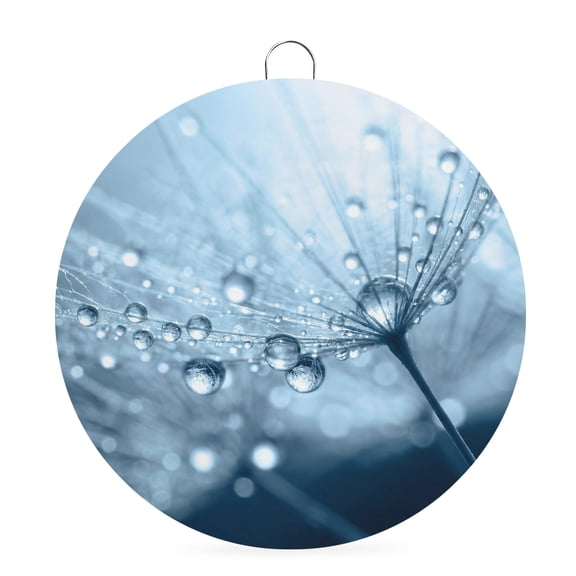 Round Welcome Sign, Blue Water Drops Dandelion Metal Wall Art Hanging Decoration, Modern Abstract Art Flowers Circlar Iron Sign Wall Decor for Front Door Home Porch Office Gifts, 6x6 In