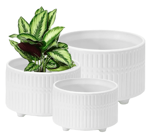 3 Count Ribbed Planter Pots with Drai...