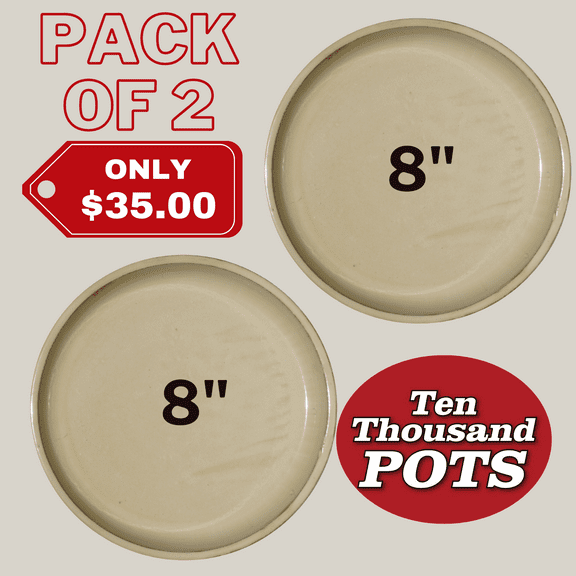 Round | Yellow Cream Ceramic Plant Saucer | High Fired Ecofriendly Clay - Sizes 8"-24" - FREE SHIPPING (8"W-PACKOF2, YellowCream)