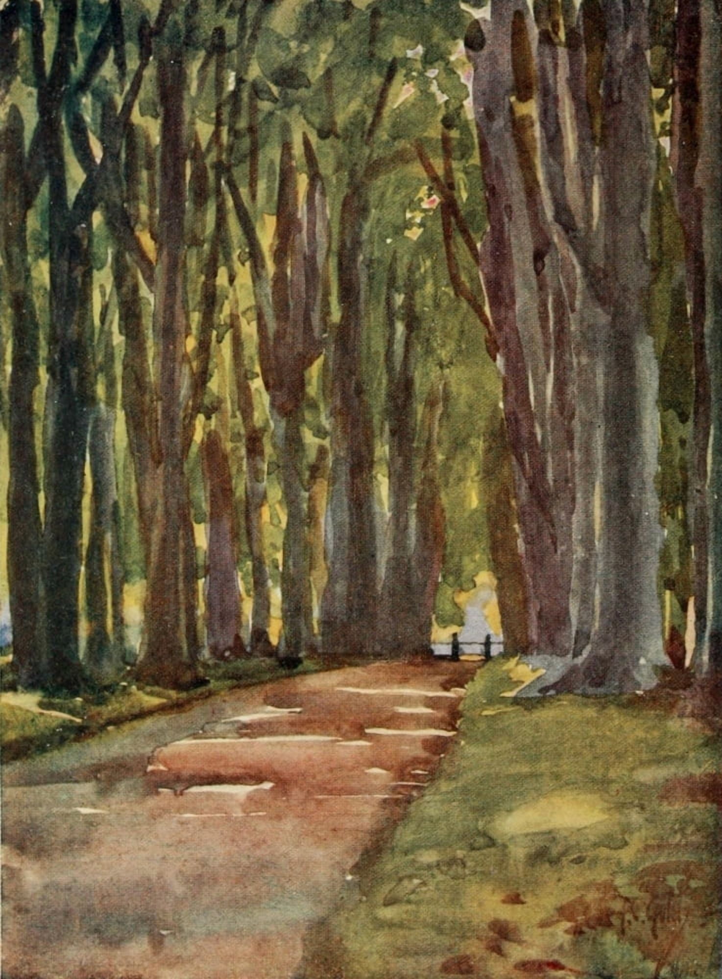 Round about Wiltshire 1907 In Savernake Forest Canvas Art - Thomas Cooper Gotch (18 x 24)