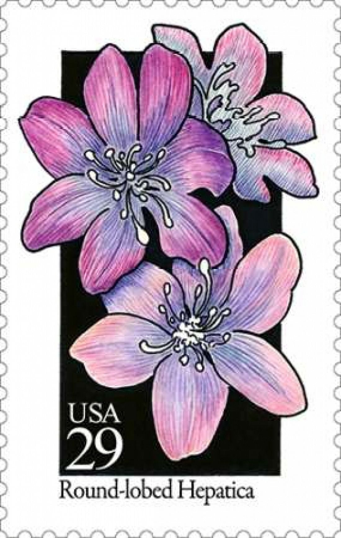 Round-lobed Hepatica Canvas Art - US POSTAL SERVICE (12 x 18)