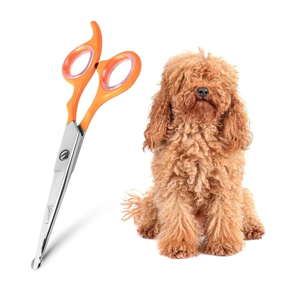 Rounded dog scissors Professional - Sharp Stainless Steel Blades with Colorful Handles, Safe and Easy-to-Use pet scissors for dogs, Long Lasting grooming scissors for dogs at home