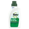 thumbnail image 1 of Roundup For Lawns 5 Concentrate Weed Killer for Southern Grass, 32 oz., 1 of 11